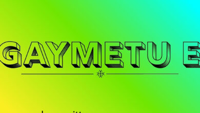 gaymetu e